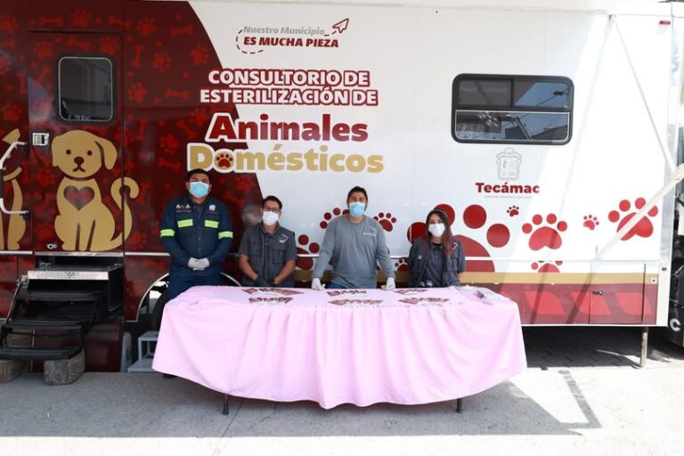Tecámac mantiene jornadas gratuitas de esterilización para perros y gatos durante julio