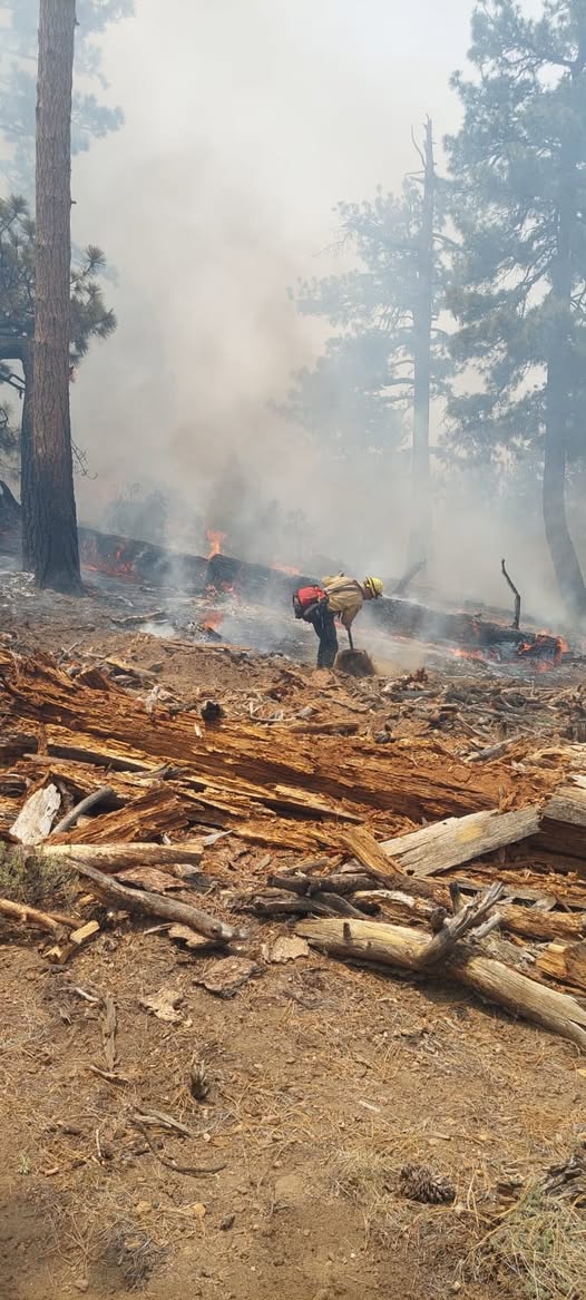 Concluyen control del incendio forestal en la Sierra de San Pedro Mártir tras afectar 80 hectáreas Concluyen control del incendio forestal en la Sierra de San Pedro Mártir tras afectar 80 hectáreas