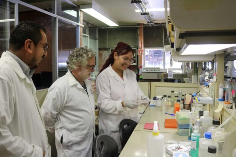 Estudian si la nicotina podría proteger al cerebro frente al Parkinson y otras enfermedades neurodegenerativas Estudian si la nicotina podría proteger al cerebro frente al Parkinson y otras enfermedades neurodegenerativas