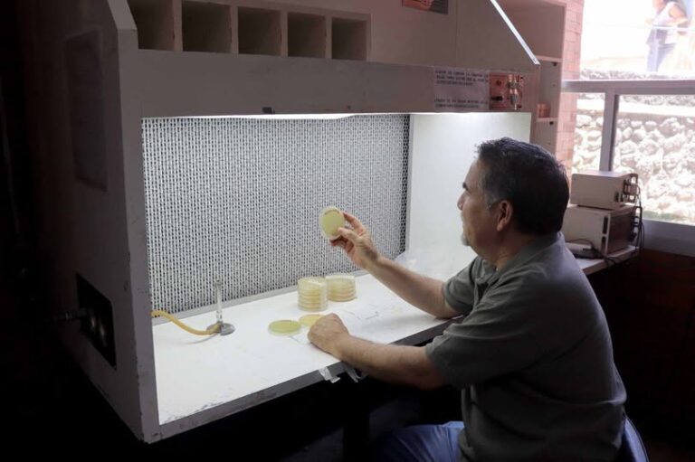 Superbacteria hospitalaria también circula en animales, alimentos y agua, revela estudio de la UNAM Superbacteria hospitalaria también circula en animales, alimentos y agua, revela estudio de la UNAM