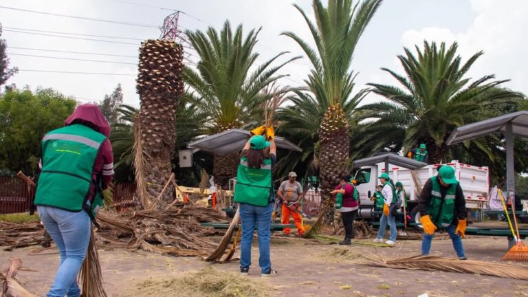 Azcapotzalco pone en marcha programa para atender más de 235 espacios públicos Azcapotzalco pone en marcha programa para atender más de 235 espacios públicos
