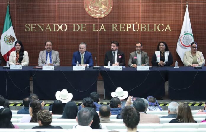 Senadores advierten que sin municipios fuertes no habrá desarrollo sostenible en México