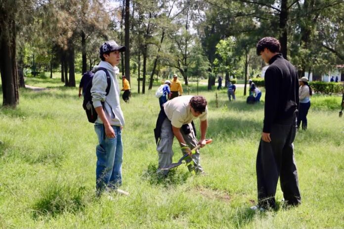 Siembran 7 mil 866 árboles en Cuautitlán Izcalli durante jornada por el Día del Árbol