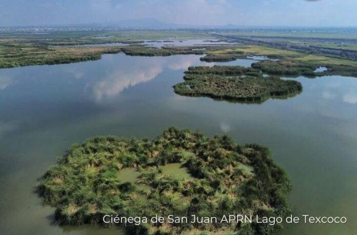 SCJN valida decreto del Área Natural Protegida Lago de Texcoco; descarta expropiación e indemnización