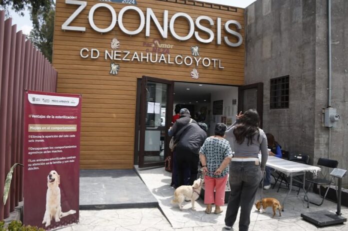 Cien perros y gatos encuentran un hogar en Nezahualcóyotl gracias al programa de adopción responsable