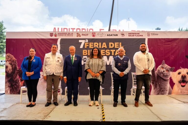 Tlalpan suma 11 mil esterilizaciones y casi 66 mil servicios de bienestar animal