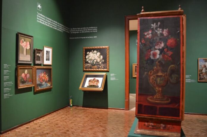 Los objetos cotidianos cobran protagonismo en exposición que replantea la naturaleza muerta
