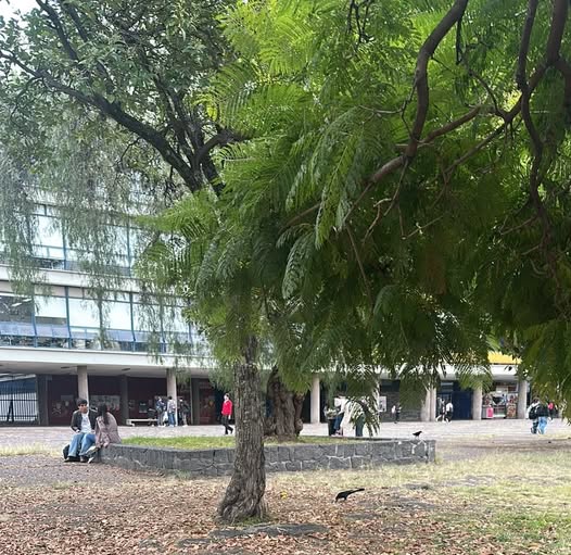 UNAM revisará el examen de ingreso a licenciatura 2026; crea comisión técnica para analizar resultados y detectar áreas de mejora