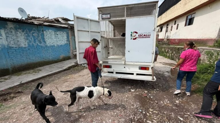 Resguardan a perro investigado por presunto maltrato animal en Cuautitlán Izcalli; Fiscalía dará seguimiento al caso