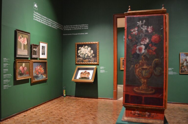 Los objetos cotidianos cobran protagonismo en exposición que replantea la naturaleza muerta