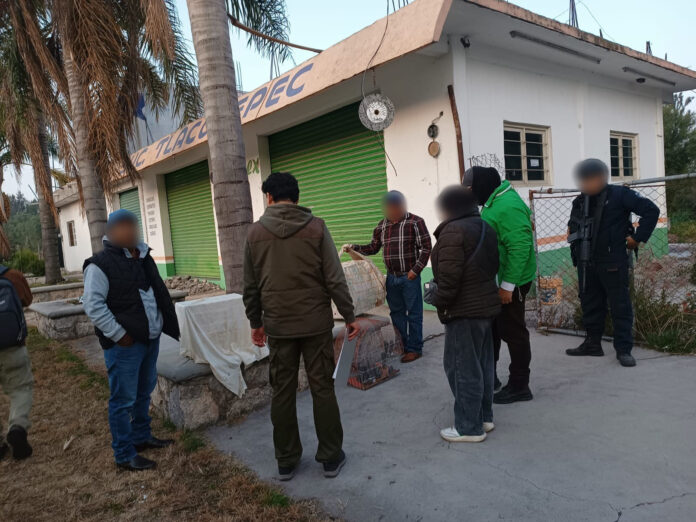 Profepa asegura 65 ejemplares de vida silvestre durante operativo contra el tráfico ilegal en Puebla