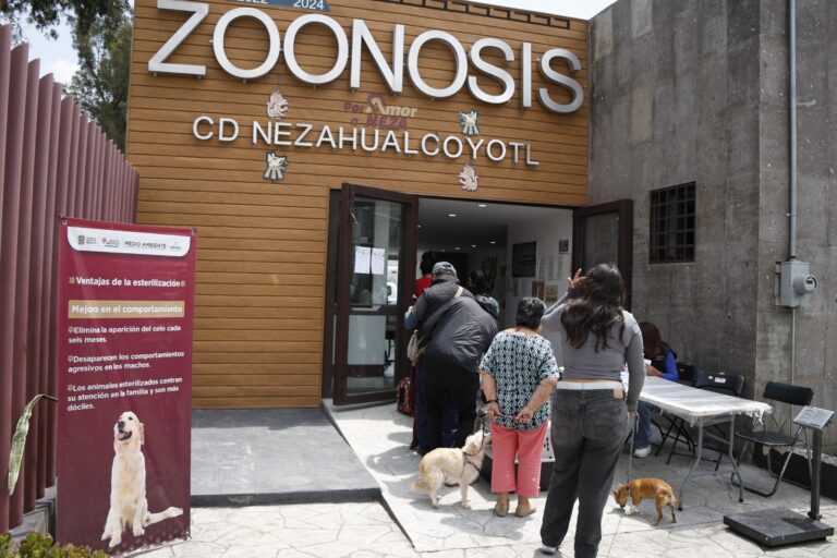 Cien perros y gatos encuentran un hogar en Nezahualcóyotl gracias al programa de adopción responsable
