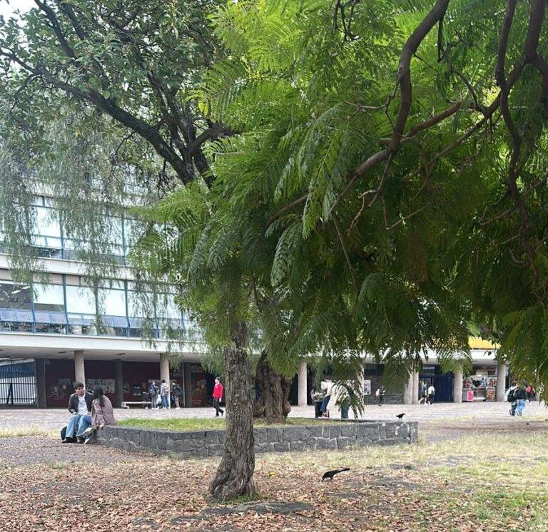 UNAM revisará el examen de ingreso a licenciatura 2026; crea comisión técnica para analizar resultados y detectar áreas de mejora