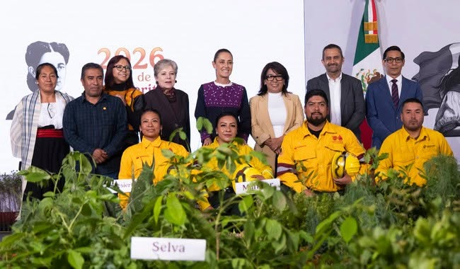 México prepara la mayor jornada anual de reforestación con la siembra de 6.6 millones de árboles