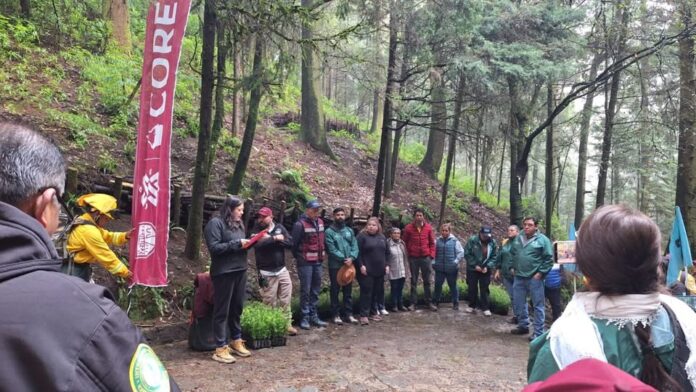 Plantan 2 mil árboles en San Bartolo Ameyalco durante jornada nacional de reforestación