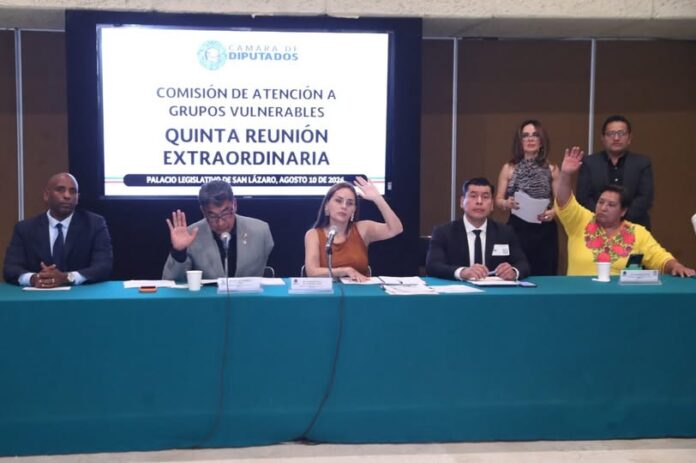 Diputados avalan tres dictámenes para fortalecer derechos de personas con discapacidad y adultos mayores