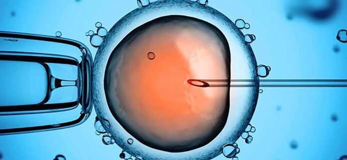 Infancias concebidas por reproducción asistida enfrentaron vacíos sobre su identidad
