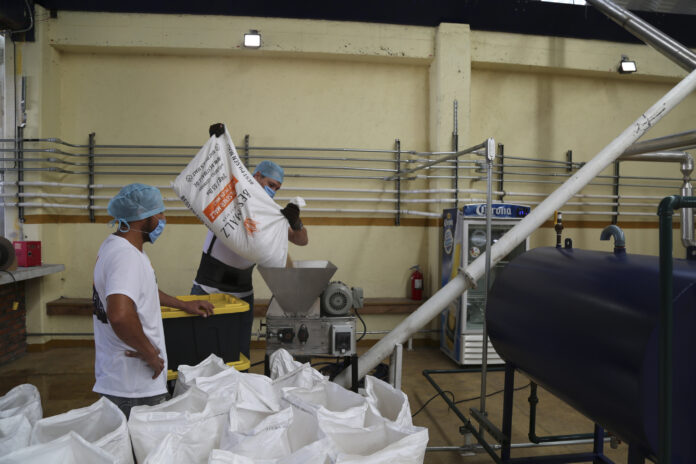 México consolida su liderazgo mundial: exportaciones de cerveza superan los 6 mil 400 millones de dólares y llegan a 98 países