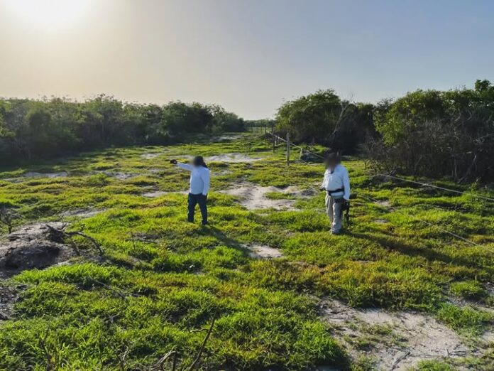Profepa clausura 17 polígonos por desmonte ilegal en la Reserva de la Biosfera Ría Celestún; daño supera las 130 hectáreas
