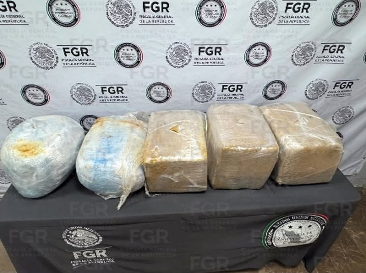 Detectan metanfetamina oculta en paquetes en Jalisco; FGR abre investigación
