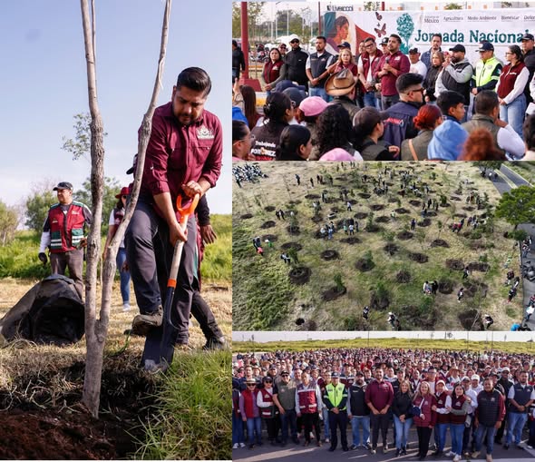 Nezahualcóyotl planta 2 mil 500 árboles con apoyo de más de mil 200 personas
