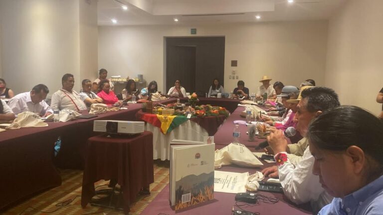 Pueblos indígenas de seis países exigen respeto a sus territorios ante proyectos energéticos