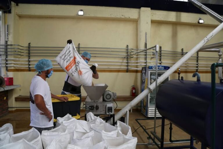 México consolida su liderazgo mundial: exportaciones de cerveza superan los 6 mil 400 millones de dólares y llegan a 98 países