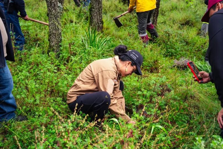 Tlalpan reverdece con más de 20 mil plantas durante Jornada Nacional de Reforestación