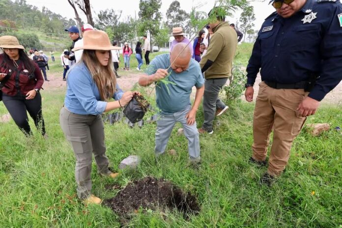 Tlalnepantla se suma a Jornada Nacional de Reforestación para recuperar áreas verdes