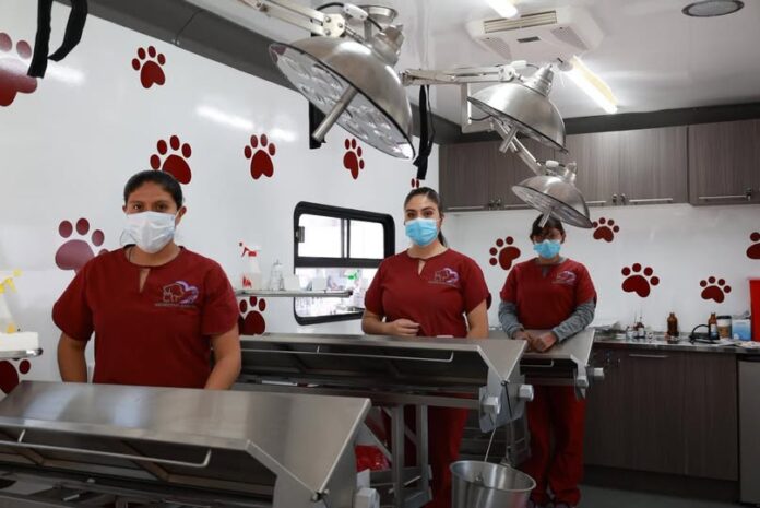 Tecámac mantendrá jornadas gratuitas de esterilización animal durante agosto
