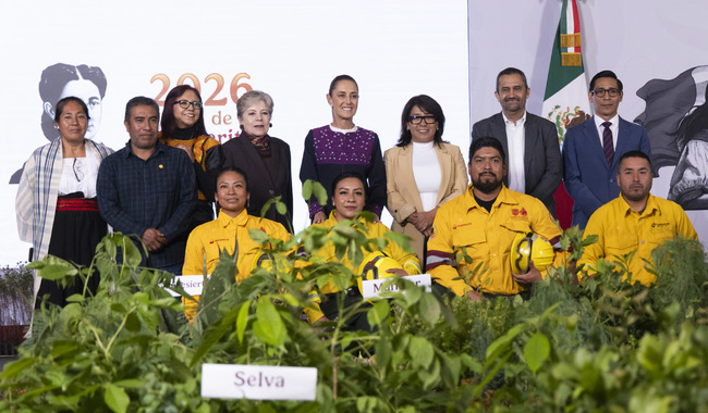 México prepara la mayor jornada anual de reforestación con la siembra de 6.6 millones de árboles