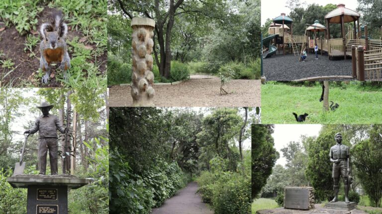 Bosque de Tlalpan, un refugio natural en medio de la Ciudad de México Bosque de Tlalpan, un refugio natural en medio de la Ciudad de México