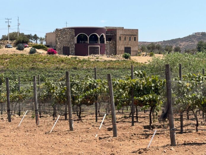 WhatsApp Image 2026-08-18 at 7.58.31 PM