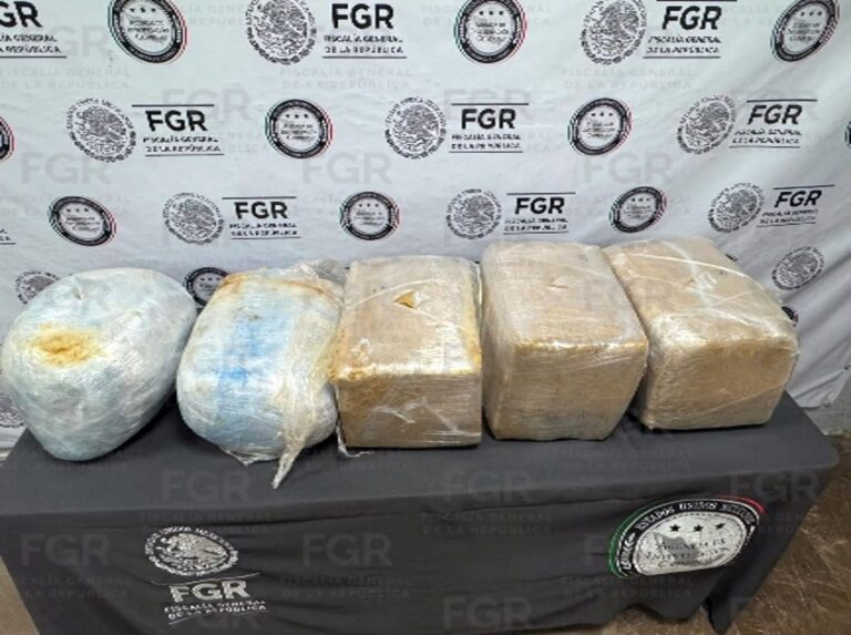 Detectan metanfetamina oculta en paquetes en Jalisco; FGR abre investigación