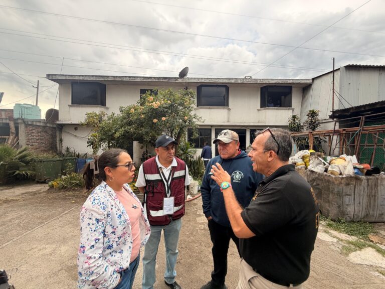 Tras 10 años de denuncias, suspenden criadero de cerdos sin permisos en Cuautitlán Izcalli