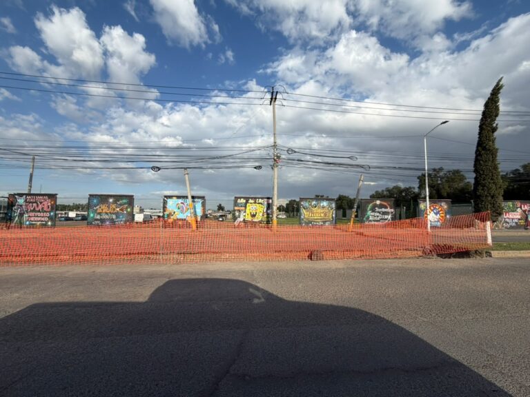 Denuncian presunta tala ilegal de árboles en Tultepec; piden investigar posible daño ambiental