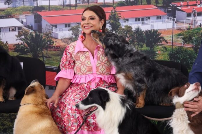 Inauguran Xólotl, centro público con capacidad para 600 perros y gatos en CDMX
