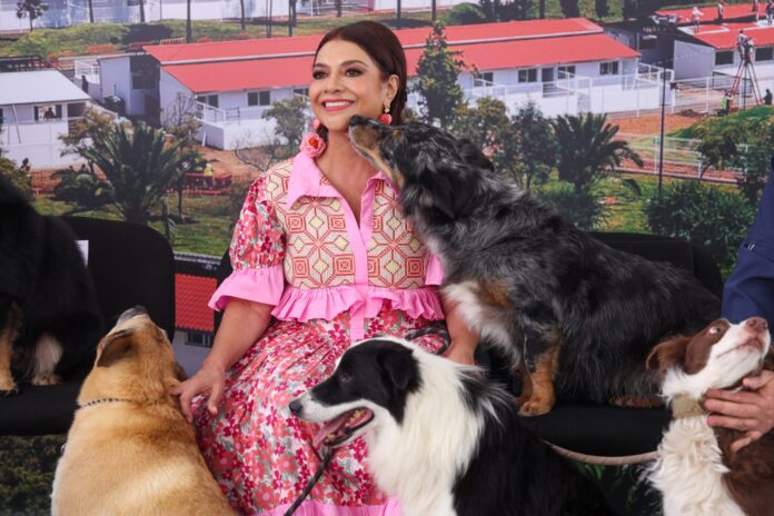 Inauguran Xólotl, centro público con capacidad para 600 perros y gatos en CDMX