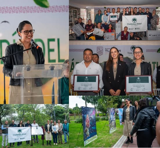 Tlalpan mantiene por quinto año reconocimiento internacional por manejo de su arbolado urbano