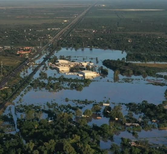 Inundación por huracán Polo paraliza rastro de Navojoa y pone en riesgo 3 mil toneladas de carne de cerdo