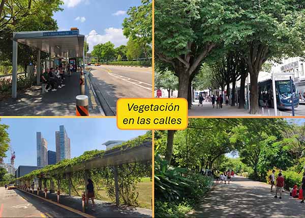 Ciudad de México se calienta: temperatura aumenta 0.34 grados por década desde 1990
