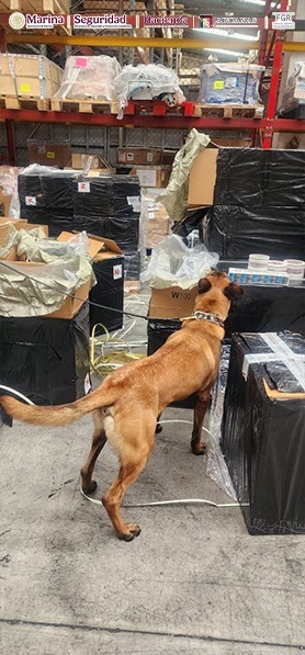 Aseguran 3.85 millones de cigarros apócrifos ocultos en cargamentos de bocinas y vasos