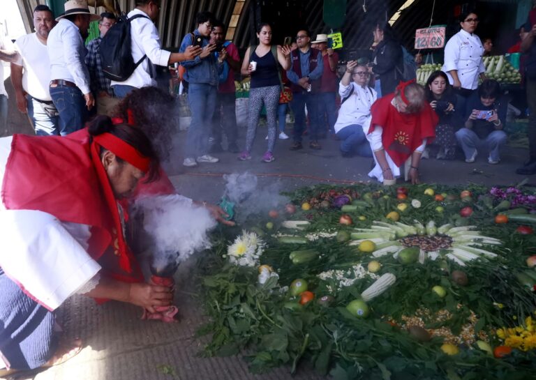 El maíz es alimento fundamental y símbolo de nuestra identidad: Central de Abasto celebra su riqueza y origen