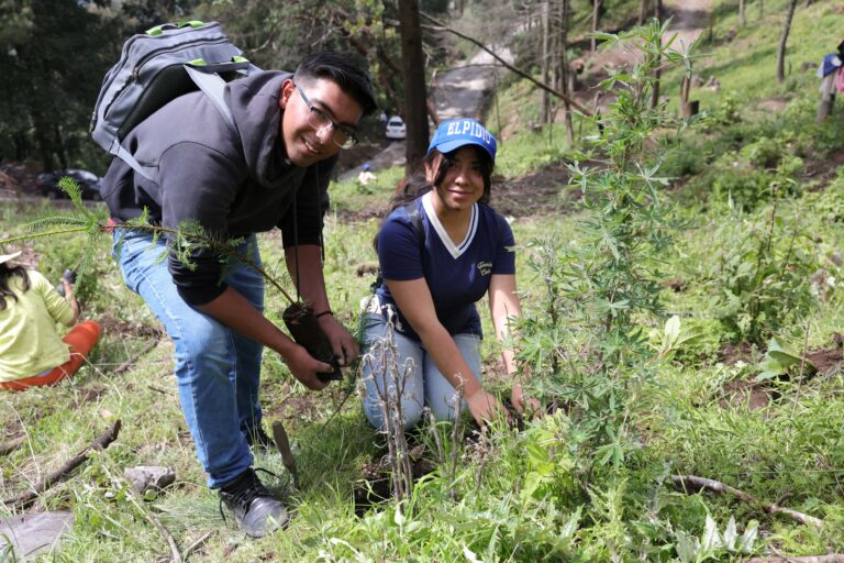 Huixquilucan supera los 15 mil árboles plantados durante temporada de lluvias