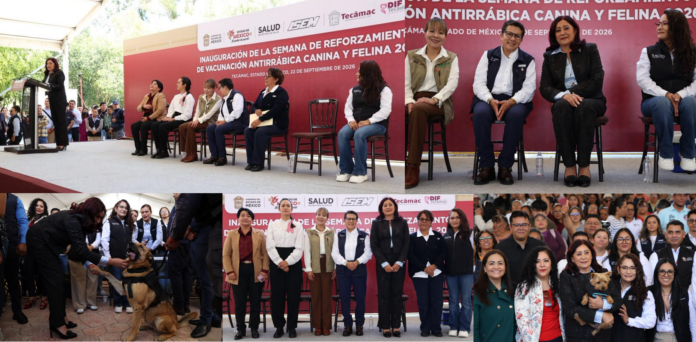 Imagen36