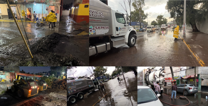 Imagen6