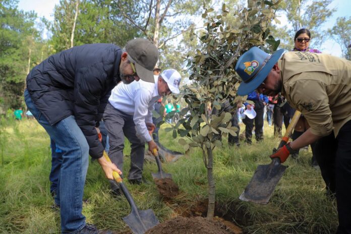Plantan 10 mil árboles en Parque Pichardo Pagaza para proteger suelo y agua en Cuautitlán Izcalli