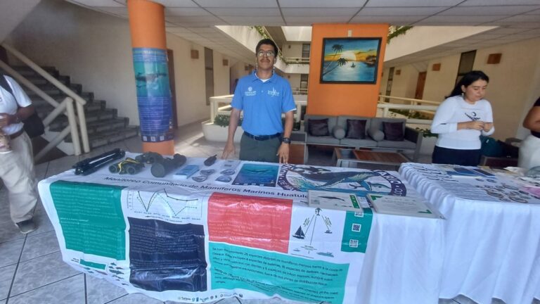 Comunidades de Oaxaca refuerzan vigilancia para proteger a la ballena jorobada