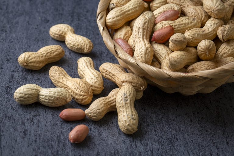 Producción de cacahuate en México crece 23.3% y alcanza 86 mil 555 toneladas en 2025 Producción de cacahuate en México crece 23.3% y alcanza 86 mil 555 toneladas en 2025