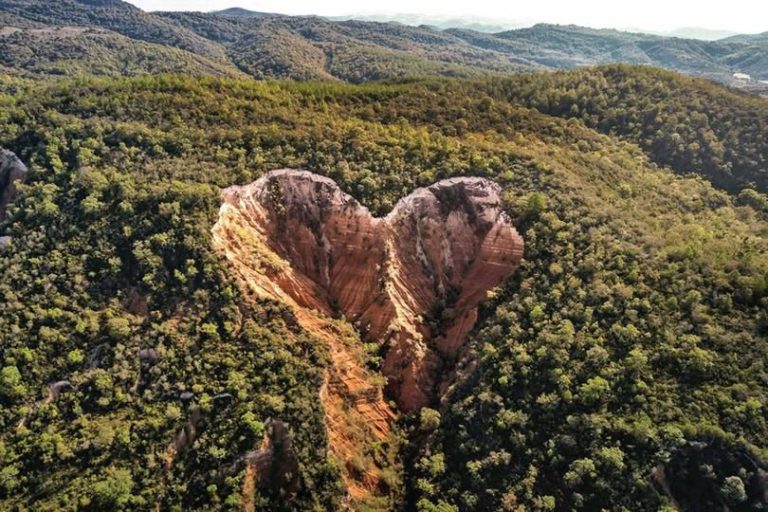 Contaminación del suelo amenaza biodiversidad que aún desconocemos, advierten especialistas de la UNAM